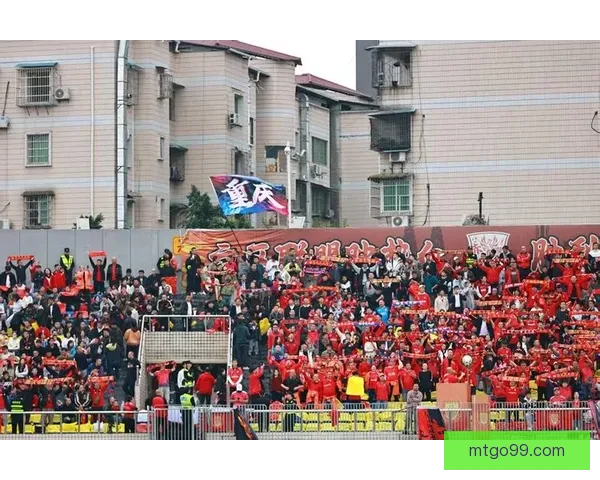 保级无忧？铜梁龙拒全华班冲超 巴西国脚中卫火线加盟稳住防线中超